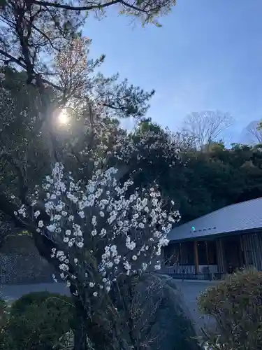 群馬県護国神社(群馬県)
