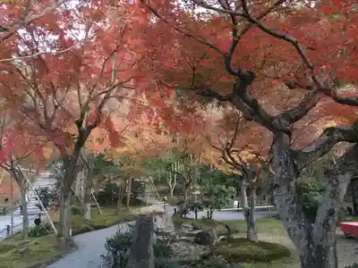 高台寺（高台寿聖禅寺・高臺寺）(京都府)