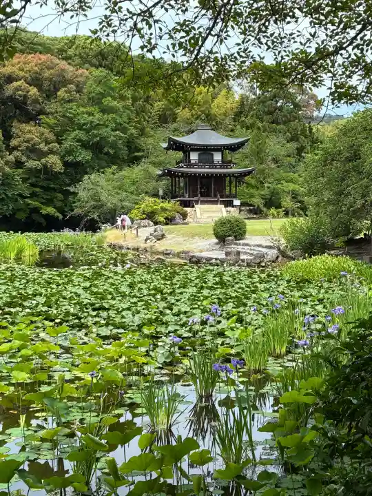 勧修寺の{uncategorized: "未分類", other: "その他", undefined: "問題あり", building: "その他建物", grave: "お墓", sacred_gate: "鳥居", guardian: "狛犬", statue: "像", buddha: "仏像", history: "歴史", nature: "自然", garden: "庭園", animal: "動物", pagoda: "塔", temizu: "手水舎", mountain_gate: "山門・神門", sanctuary: "本殿・本堂", subordinate: "末社・摂社", art: "芸術", scenery: "景色", jizo: "地蔵", ema: "絵馬", goshuin: "御朱印", omikuji: "おみくじ", items: "授与品その他", amulet: "お守り", goshuincho: "御朱印帳", eats: "食事", festival: "お祭り", votive_dance: "神楽", shichigosan: "七五三参", wedding: "結婚式", experience: "体験その他", initially: "初詣", around: "周辺", anti_infection: "感染症対策"}