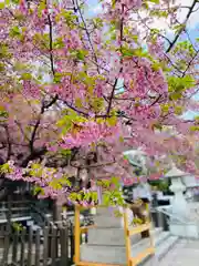 新宿下落合氷川神社(東京都)