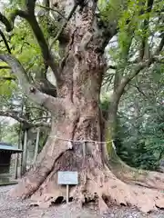 千栗八幡宮(佐賀県)