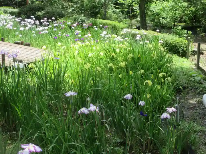 両神神社(埼玉県)