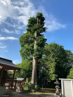 富岡八幡宮(神奈川県)