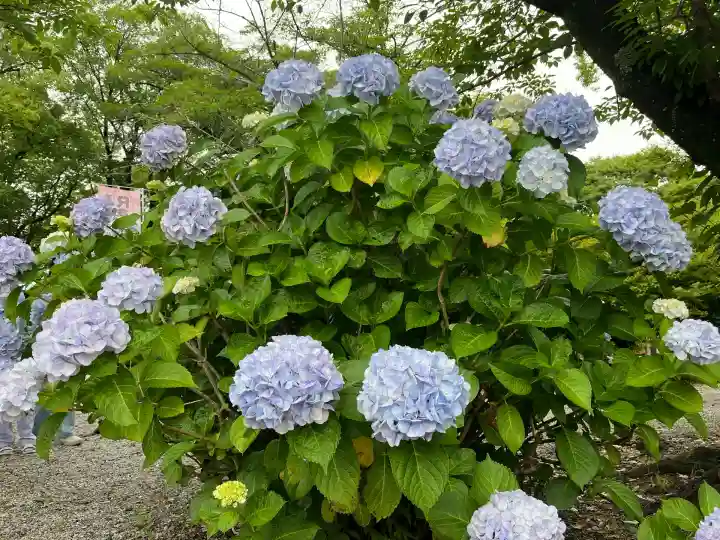 御裳神社(愛知県)