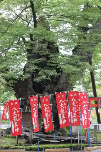 秩父今宮神社の自然