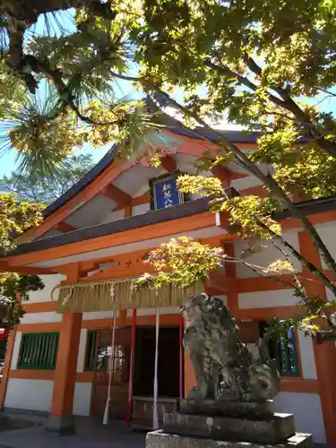 紅葉八幡宮の本殿・本堂