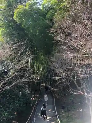 高台寺（高台寿聖禅寺・高臺寺）(京都府)