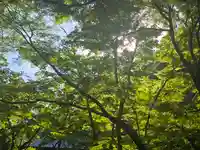 含空院(滋賀県)