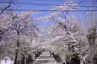 一之宮貫前神社の自然