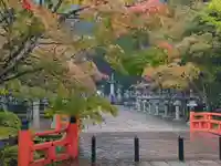 高野山金剛峯寺奥の院(和歌山県)