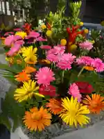 宮地嶽神社の手水舎