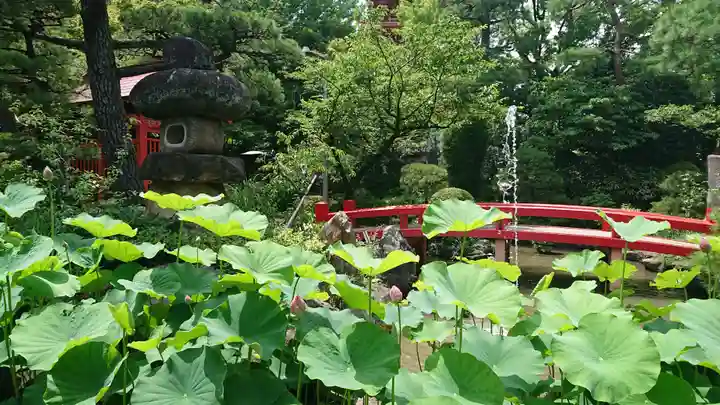 高幡不動尊 金剛寺の庭園