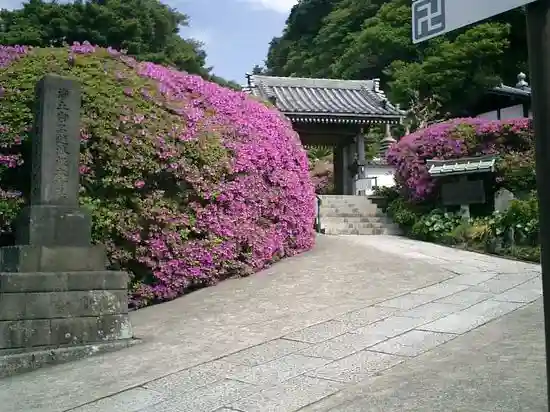 安養院 (田代寺)の周辺