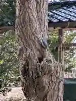 神山稲荷神社の{uncategorized: "未分類", other: "その他", undefined: "問題あり", building: "その他建物", grave: "お墓", sacred_gate: "鳥居", guardian: "狛犬", statue: "像", buddha: "仏像", history: "歴史", nature: "自然", garden: "庭園", animal: "動物", pagoda: "塔", temizu: "手水舎", mountain_gate: "山門・神門", sanctuary: "本殿・本堂", subordinate: "末社・摂社", art: "芸術", scenery: "景色", jizo: "地蔵", ema: "絵馬", goshuin: "御朱印", omikuji: "おみくじ", items: "授与品その他", amulet: "お守り", goshuincho: "御朱印帳", eats: "食事", festival: "お祭り", votive_dance: "神楽", shichigosan: "七五三参", wedding: "結婚式", experience: "体験その他", initially: "初詣", around: "周辺", anti_infection: "感染症対策"}