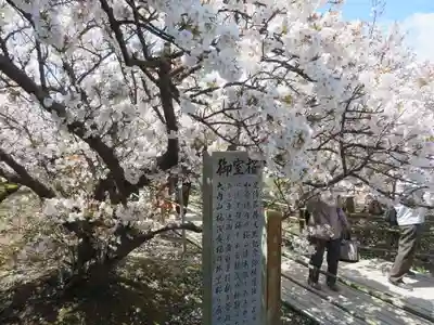 仁和寺(京都府)