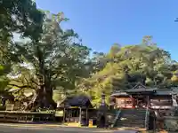 蒲生八幡神社のその他建物