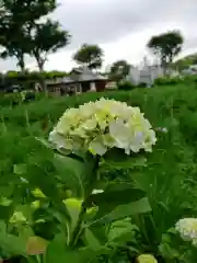 妙法寺の庭園