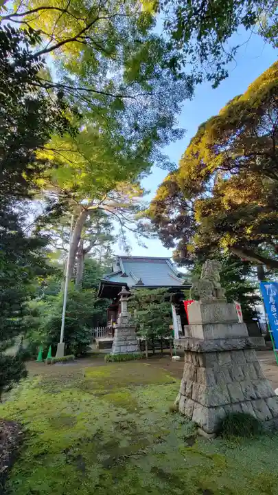 上高田氷川神社の狛犬
