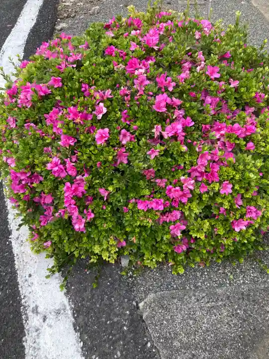赤井稲荷(神奈川県)