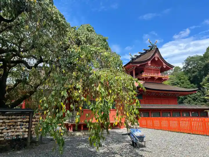 富士山本宮浅間大社(静岡県)