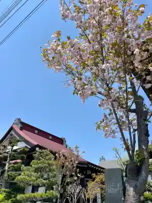 満福寺(福島県)