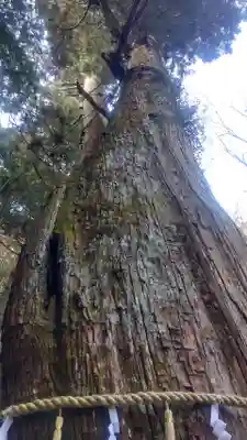 青玉神社(兵庫県)