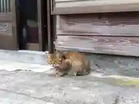 奥津比咩神社(石川県)