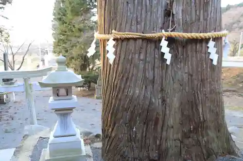 高司神社〜むすびの神の鎮まる社〜の自然