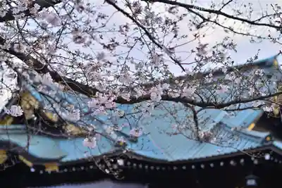 靖國神社(東京都)