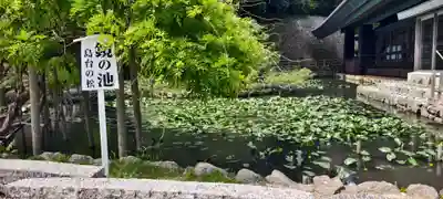 出雲大社(島根県)
