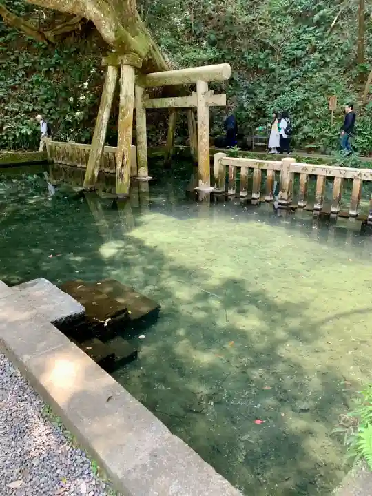 鹿島神宮(茨城県)