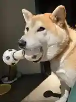 笠䅣稲荷神社(神奈川県)