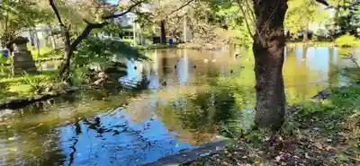 鳥海月山両所宮(山形県)