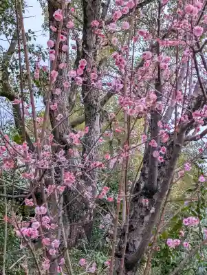 豊國神社の{uncategorized: "未分類", other: "その他", undefined: "問題あり", building: "その他建物", grave: "お墓", sacred_gate: "鳥居", guardian: "狛犬", statue: "像", buddha: "仏像", history: "歴史", nature: "自然", garden: "庭園", animal: "動物", pagoda: "塔", temizu: "手水舎", mountain_gate: "山門・神門", sanctuary: "本殿・本堂", subordinate: "末社・摂社", art: "芸術", scenery: "景色", jizo: "地蔵", ema: "絵馬", goshuin: "御朱印", omikuji: "おみくじ", items: "授与品その他", amulet: "お守り", goshuincho: "御朱印帳", eats: "食事", festival: "お祭り", votive_dance: "神楽", shichigosan: "七五三参", wedding: "結婚式", experience: "体験その他", initially: "初詣", around: "周辺", anti_infection: "感染症対策"}