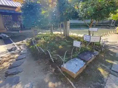 竹山随護稲荷神社(長野県)
