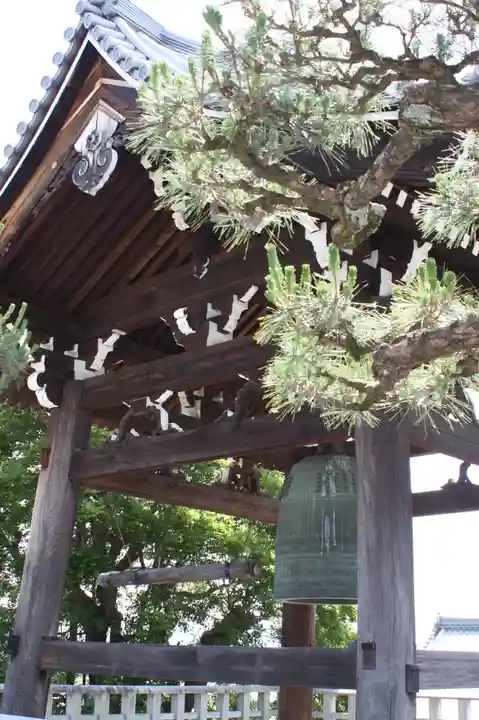 くろ谷 金戒光明寺(京都府)
