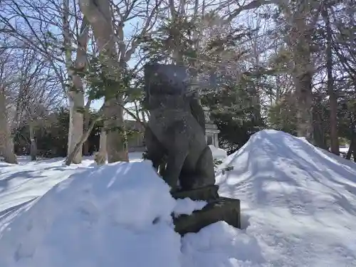 信濃神社の狛犬