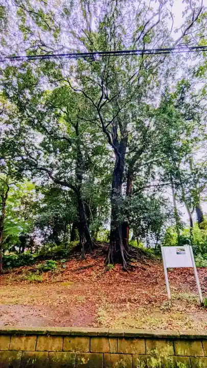 七百餘所神社 の自然