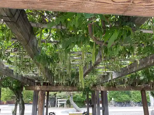 田縣神社(愛知県)
