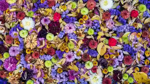 中川八幡神社(長崎県)