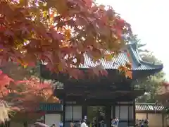 神護寺(京都府)