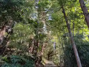 大國魂神社の自然(2022年02月11日(金) 14時25分30秒投稿)