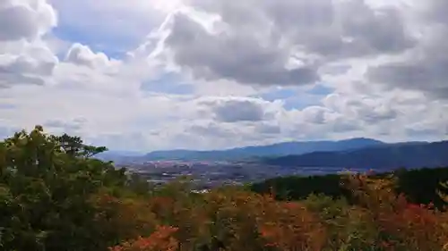 仁和寺の景色