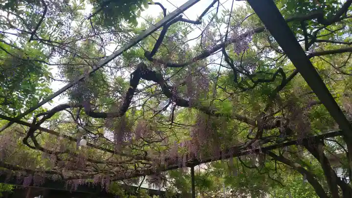 國領神社の庭園