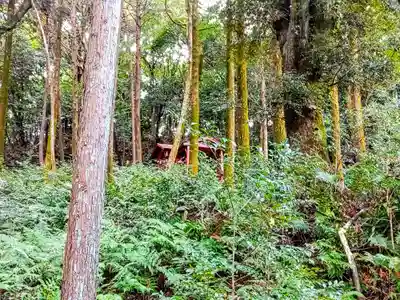 吉五郎稲荷神社の自然