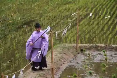 高屋敷稲荷神社のお祭り