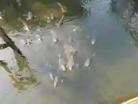 早水神社(宮崎県)