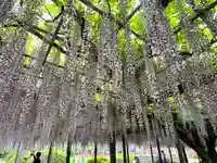 宮目神社(玉敷神社 境内社)(埼玉県)