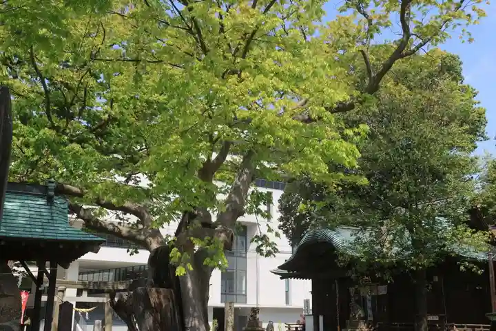 阿邪訶根神社の景色
