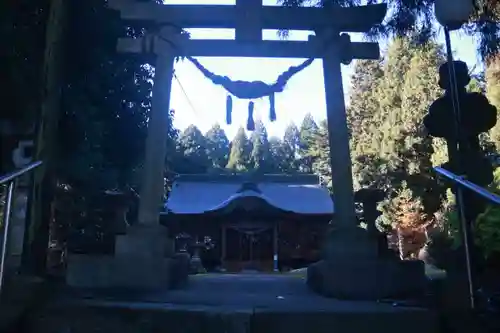 仁井田神社の鳥居